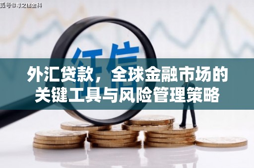 友谊外汇贷款，全球金融市场的关键工具与风险管理策略