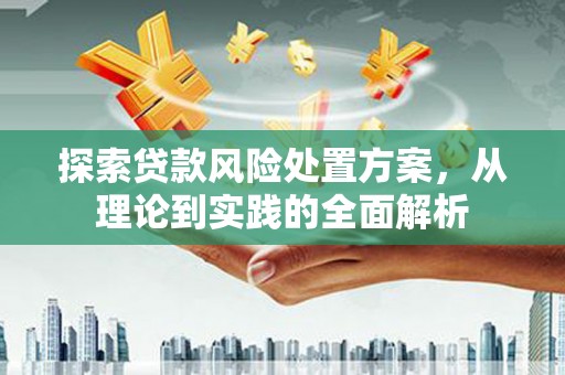 友谊探索贷款风险处置方案，从理论到实践的全面解析