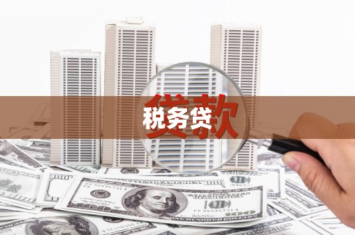 友谊税务贷