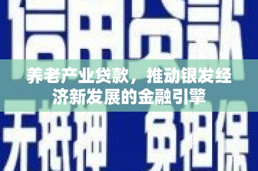 友谊养老产业贷款，推动银发经济新发展的金融引擎