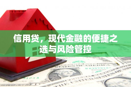 友谊信用贷，现代金融的便捷之选与风险管控