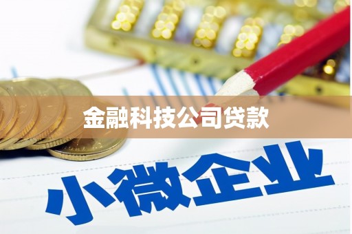 友谊金融科技公司贷款