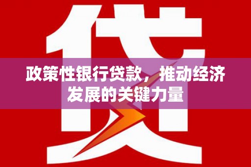 友谊政策性银行贷款，推动经济发展的关键力量