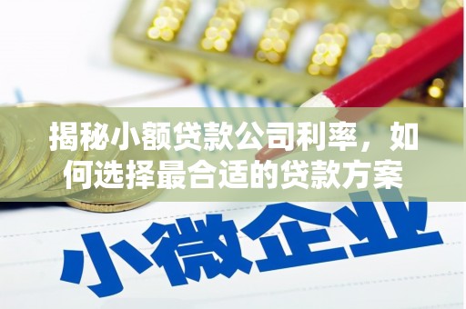 友谊揭秘小额贷款公司利率，如何选择最合适的贷款方案
