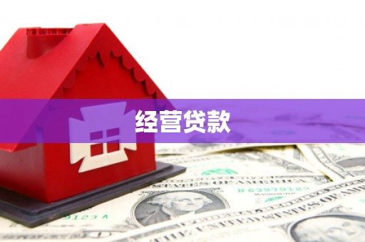 友谊经营贷款
