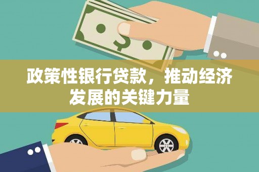 友谊政策性银行贷款，推动经济发展的关键力量