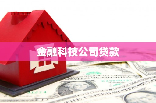 友谊金融科技公司贷款
