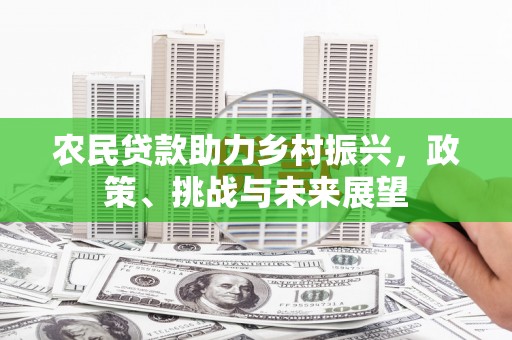 友谊农民贷款助力乡村振兴，政策、挑战与未来展望