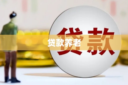 友谊贷款养老