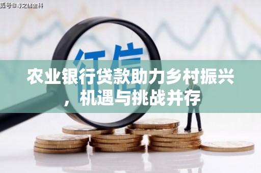友谊农业银行贷款助力乡村振兴，机遇与挑战并存