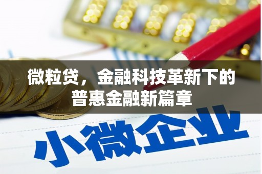 友谊微粒贷，金融科技革新下的普惠金融新篇章