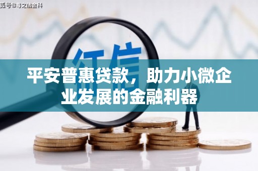 友谊平安普惠贷款，助力小微企业发展的金融利器