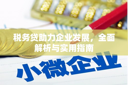 友谊税务贷助力企业发展，全面解析与实用指南