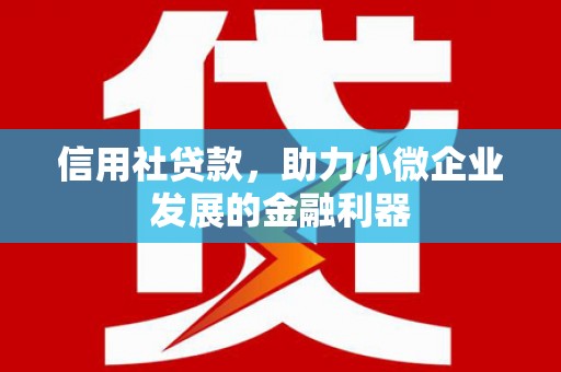 友谊信用社贷款，助力小微企业发展的金融利器