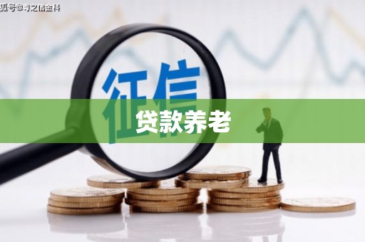友谊贷款养老