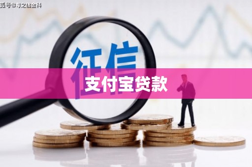 友谊支付宝贷款