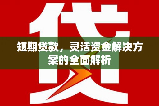 友谊短期贷款，灵活资金解决方案的全面解析