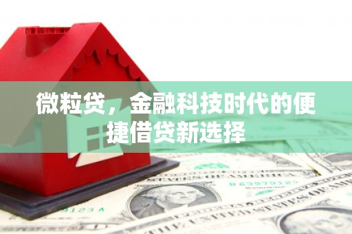 友谊微粒贷，金融科技时代的便捷借贷新选择