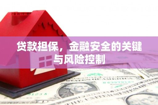 友谊贷款担保，金融安全的关键与风险控制