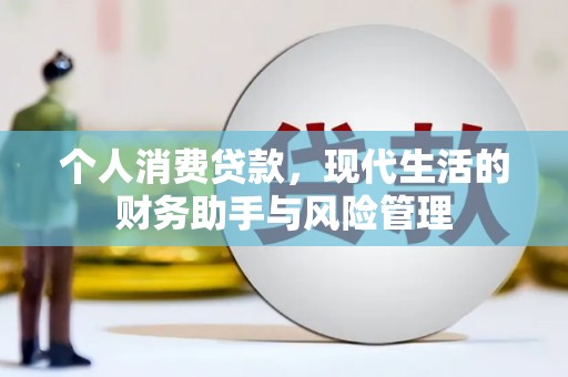 友谊个人消费贷款，现代生活的财务助手与风险管理