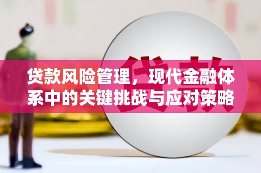 友谊贷款风险管理，现代金融体系中的关键挑战与应对策略
