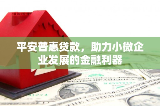 友谊平安普惠贷款，助力小微企业发展的金融利器