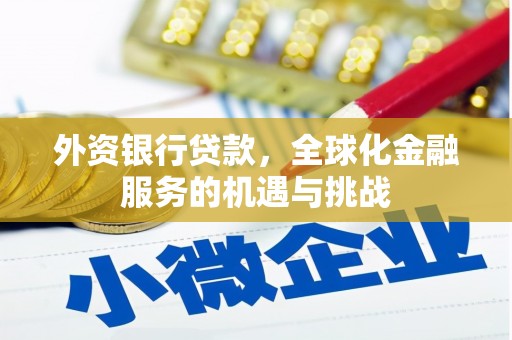 友谊外资银行贷款，全球化金融服务的机遇与挑战