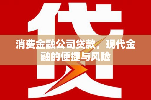 友谊消费金融公司贷款，现代金融的便捷与风险