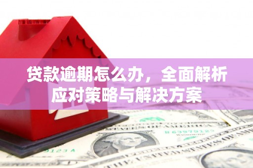 友谊贷款逾期怎么办，全面解析应对策略与解决方案