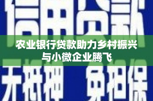 友谊农业银行贷款助力乡村振兴与小微企业腾飞