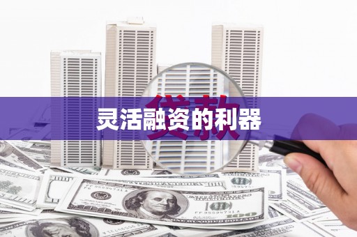 友谊灵活融资的利器