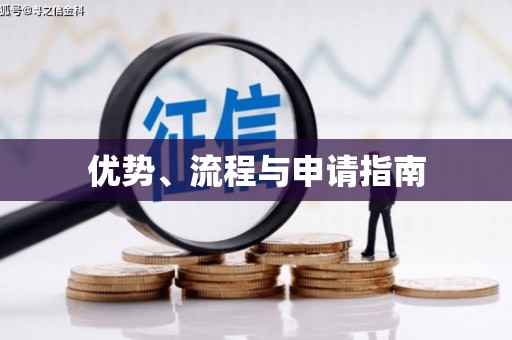 友谊优势、流程与申请指南