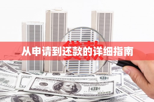 友谊从申请到还款的详细指南