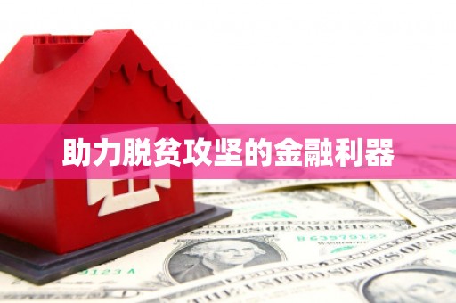 友谊助力脱贫攻坚的金融利器