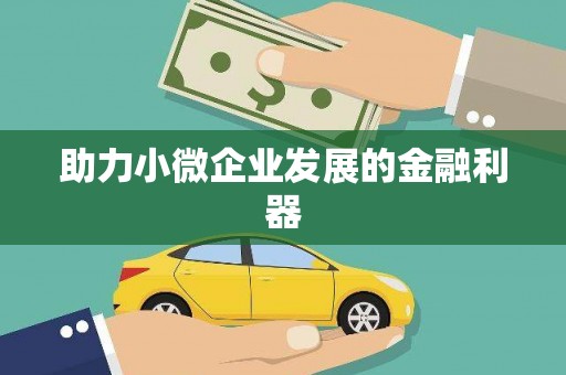 友谊助力小微企业发展的金融利器