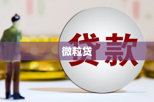 友谊微粒贷