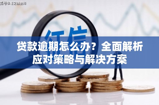 友谊贷款逾期怎么办？全面解析应对策略与解决方案