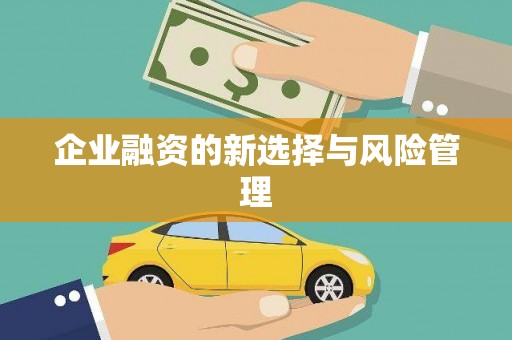 友谊企业融资的新选择与风险管理