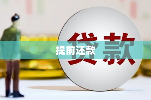 友谊提前还款