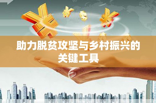 友谊助力脱贫攻坚与乡村振兴的关键工具