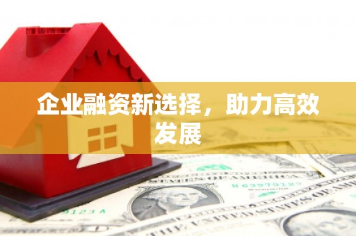 友谊企业融资新选择，助力高效发展