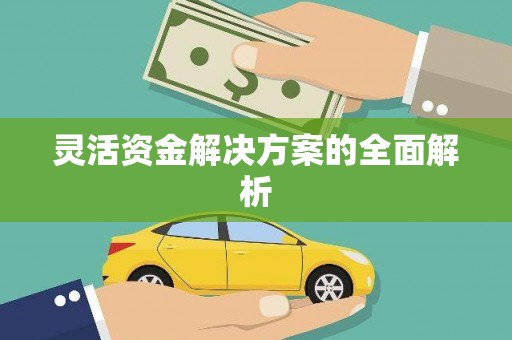 友谊灵活资金解决方案的全面解析