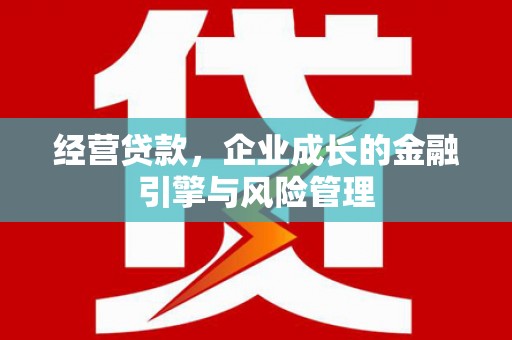 友谊经营贷款，企业成长的金融引擎与风险管理