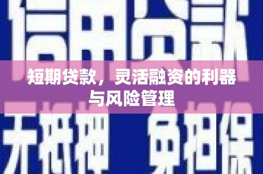 友谊短期贷款，灵活融资的利器与风险管理