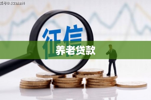 友谊养老贷款